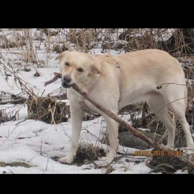 missynoura's profile picture. 