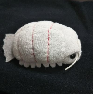 takako_w_gusoku's profile picture. 好きなもの
俳句と麻雀とダイオウグソクムシ