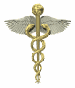 Un grupo de médicos nos hemos unidos con el firme propósito de construir estos espacios para brindarles a todos información relativa de actualización en salud.