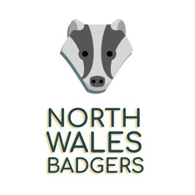 Supporting Badgers in North Wales