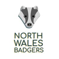 North Wales Badgers(@NWalesBadgers) 's Twitter Profile Photo