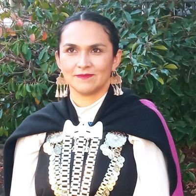 Abogada. Coordinadora de UCAI. Especialista en derechos humanos y pueblos indígenas. Ex-constituyente electa por el pueblo mapuche. Wallmapu.