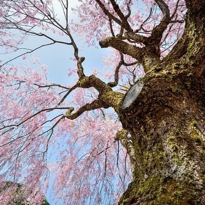 こん二次格納庫さんのプロフィール画像