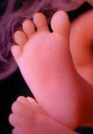 AalaaTantawi's profile picture. 