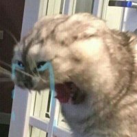 nullPTR (@redt0ken) 's Twitter Profile Photo nullPTR (@redt0ken) 's Twitter Profile Photo