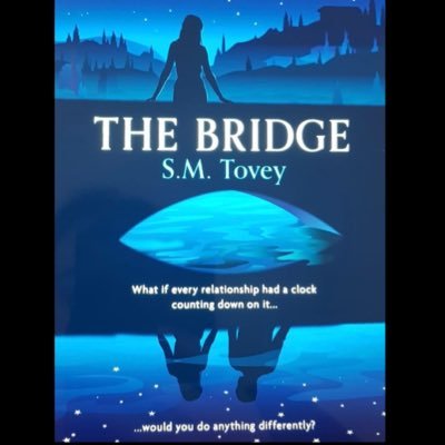 The_Bridge_Book Profile Picture