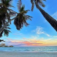 GSHC 🌲🇻🇪🇪🇸 🇮🇱Hala Madrid!! Rey de 🏆! 🌲 (@gshc64) 's Twitter Profile Photo