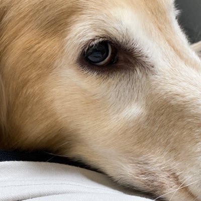 omt10_hide's profile picture. 