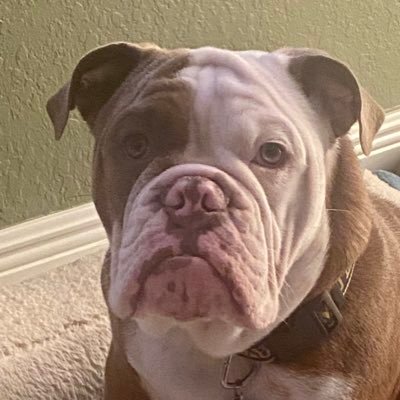 Naturaljay1's profile picture. Published Photographer who captured some of the most amazing beauties in the world. 18+ no minors