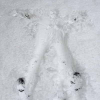 しちゅ〜さんのプロフィール画像