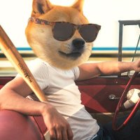 MoonBonks (@moonbonks) 's Twitter Profile