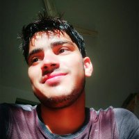 vikash Singh tomar राजपूत(@inikkitomar1) 's Twitter Profile Photo