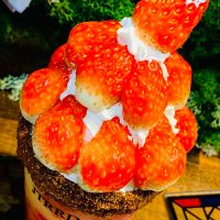 sakura. (@sleeping2945) 's Twitter Profile