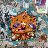 City Kitty (@citykittystreet) 's Twitter Profile