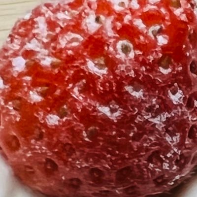 いどうずみさんのプロフィール画像
