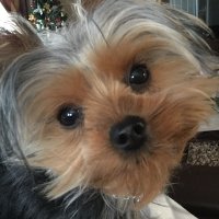 Linda Rabey (@linda_rabey) 's Twitter Profile