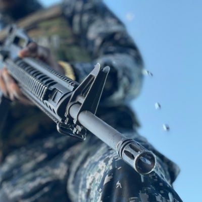 LionMyers2's profile picture. 