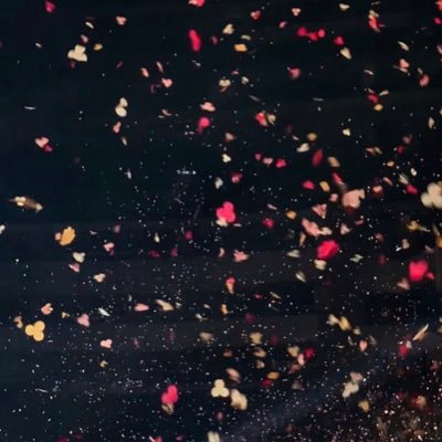 btslivluv's profile picture. #BTS: let us shine ✨