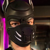 Fʀɪᴏ (@friodog) 's Twitter Profile