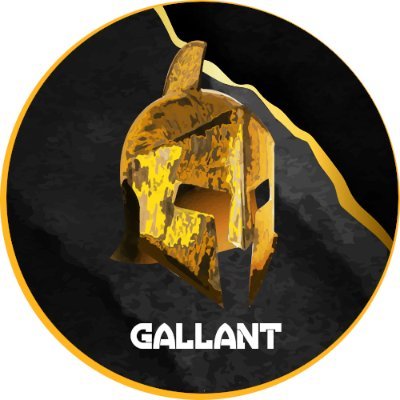 Blockchain Gaming & DeFi Tools
Download #GallantWarriors - Android/iOS
VIP Gaming Pass: #GnarlyKnights
Next: #GallantSagaVol1
https://t.co/YYopJfQOsF