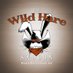 Wild Hare Saloon (@wildharesaloon) Twitter profile photo Wild Hare Saloon (@wildharesaloon) Twitter profile photo
