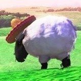 SuperMix_1's profile picture. fashionable sheep