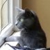THECATANDFROG (@thecatandfrogc1) Twitter profile photo THECATANDFROG (@thecatandfrogc1) Twitter profile photo