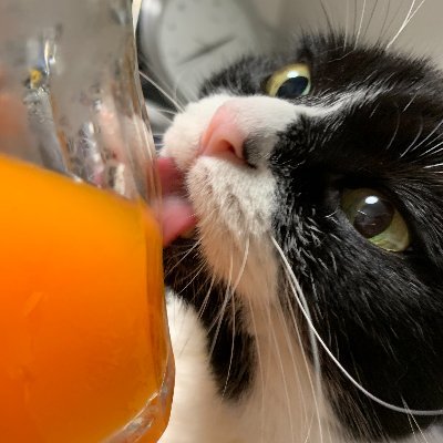 ナビィさんのプロフィール画像