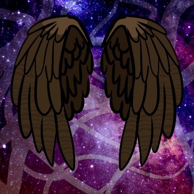 The Avian Association is a fan made group for people who want to support Phil from the DSMP since his injury and possibly share their own experience with injury