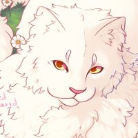 angel 👼🏻 (@lefkki) 's Twitter Profile