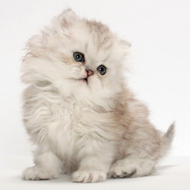 riaz_fathima's profile picture. i am fun loving person