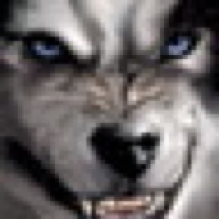 someweirdo723's profile picture. Just some weirdo, who can't keep his mouth shut. For the record, I make a lot of jokes about hooking up, because I like to engage, but they are mostly jokes.