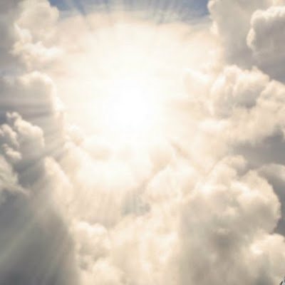 MeeeBrad's profile picture. 