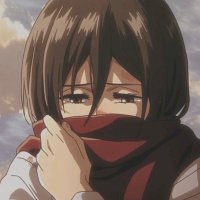 Mikasastan (@hellosir2000) 's Twitter Profile