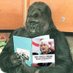 Koko the Gorilla (@kokotheflegger) Twitter profile photo