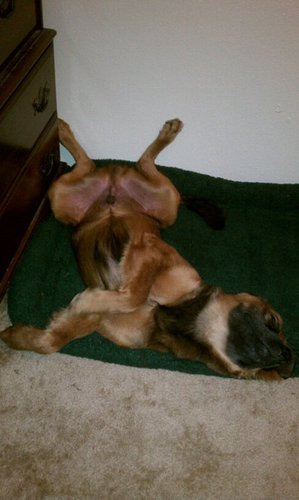 Chris_Hager's profile picture. 