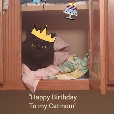 403031_ISAIAH's profile picture. 