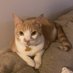 Teddy (@drteddison) Twitter profile photo Teddy (@drteddison) Twitter profile photo