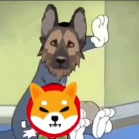 shiba killa (@rockbelow) 's Twitter Profile