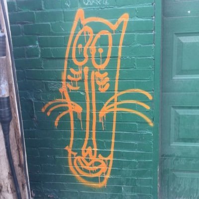 somegraffiticat Profile Picture