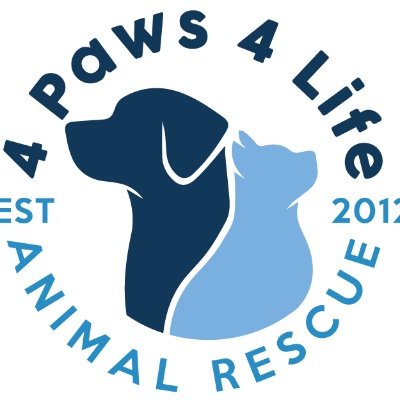 Non-profit 501(c)3 animal rescue located in Sedalia, CO.  We have saved over 13,000 animals from euthanasia since 2012.  https://t.co/USyOqLrAjn