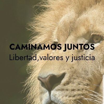 CirodeMarcio1's profile picture. 