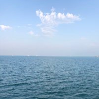 بنت قطر💕🇶🇦💕 (@misaki5power) 's Twitter Profile