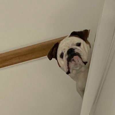 Views are my own or those of Ian. Can be a bit sweary. If you just want Ian content Insta @ianefbulldog