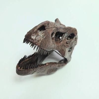 趣味・恐竜模型作り 仕事・現生人間の歯の復元