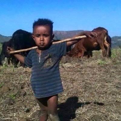 Baytewar's profile picture. Retweet ≠ Endorsement