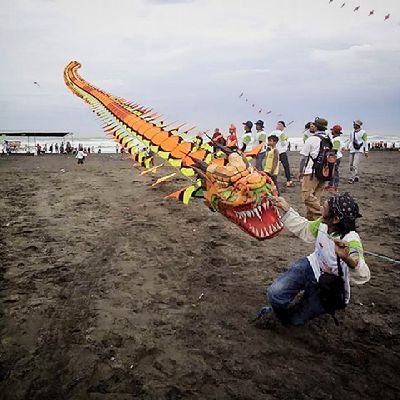 Kelixoyell's profile picture. 