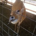 timothy james robb - @crashrask - Twitter