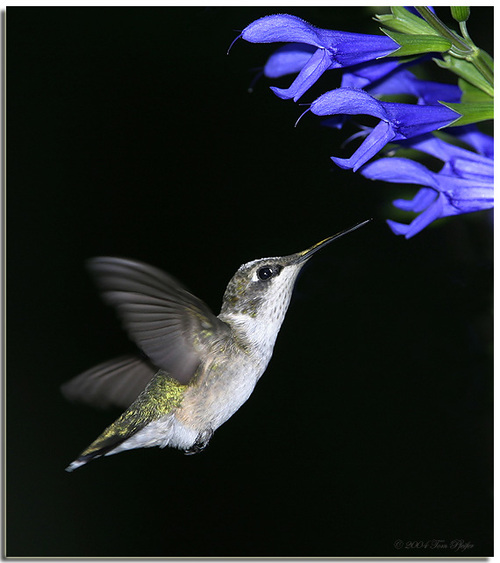 huggie2's profile picture. 