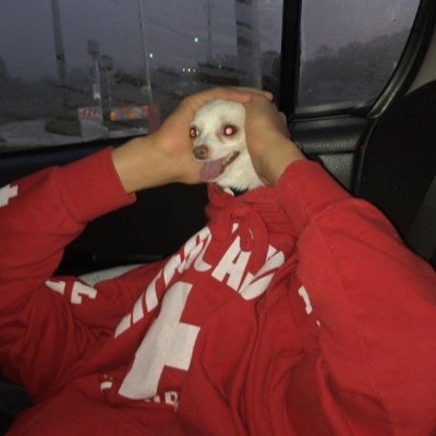 NotDislexic's profile picture. good breathin' bestie!